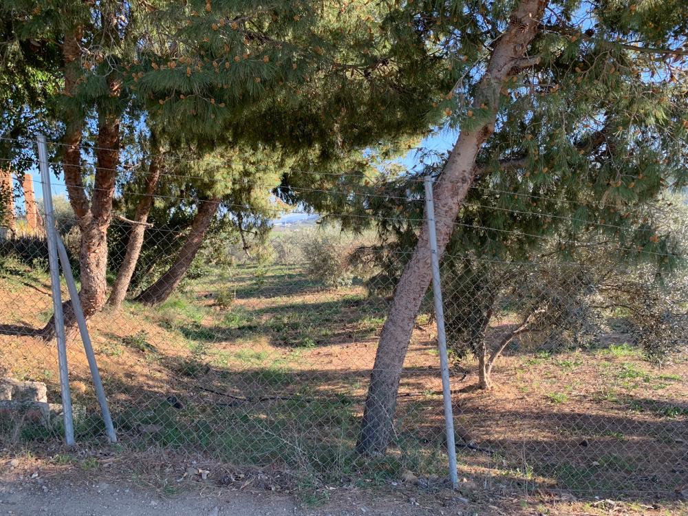  kaufen Haus Bermejo-Caracuel Valle Del Guadalhorce 24