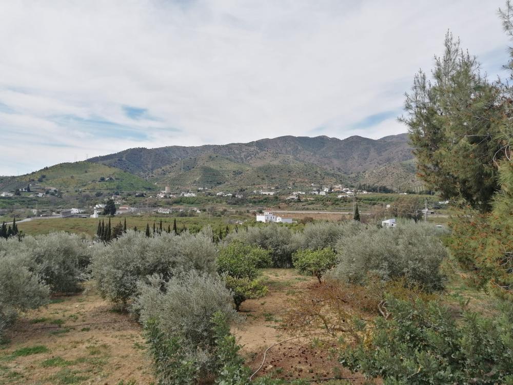  kaufen Haus Bermejo-Caracuel Valle Del Guadalhorce 44