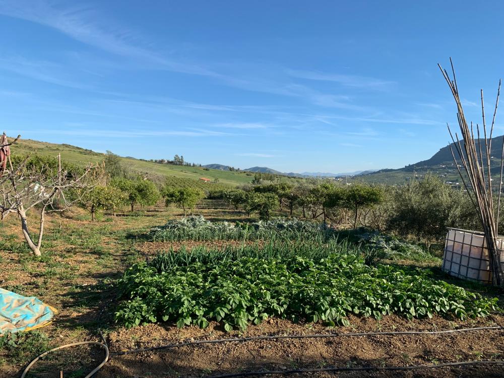  kaufen Haus Bermejo-Caracuel Valle Del Guadalhorce 31