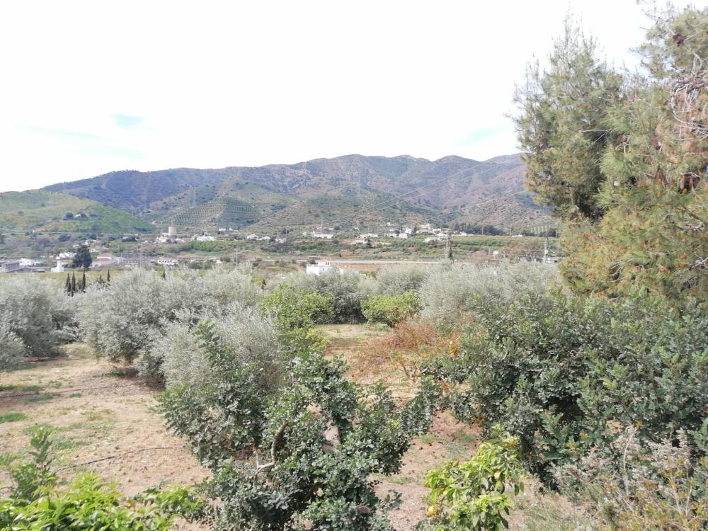  kaufen Haus Bermejo-Caracuel Valle Del Guadalhorce 45
