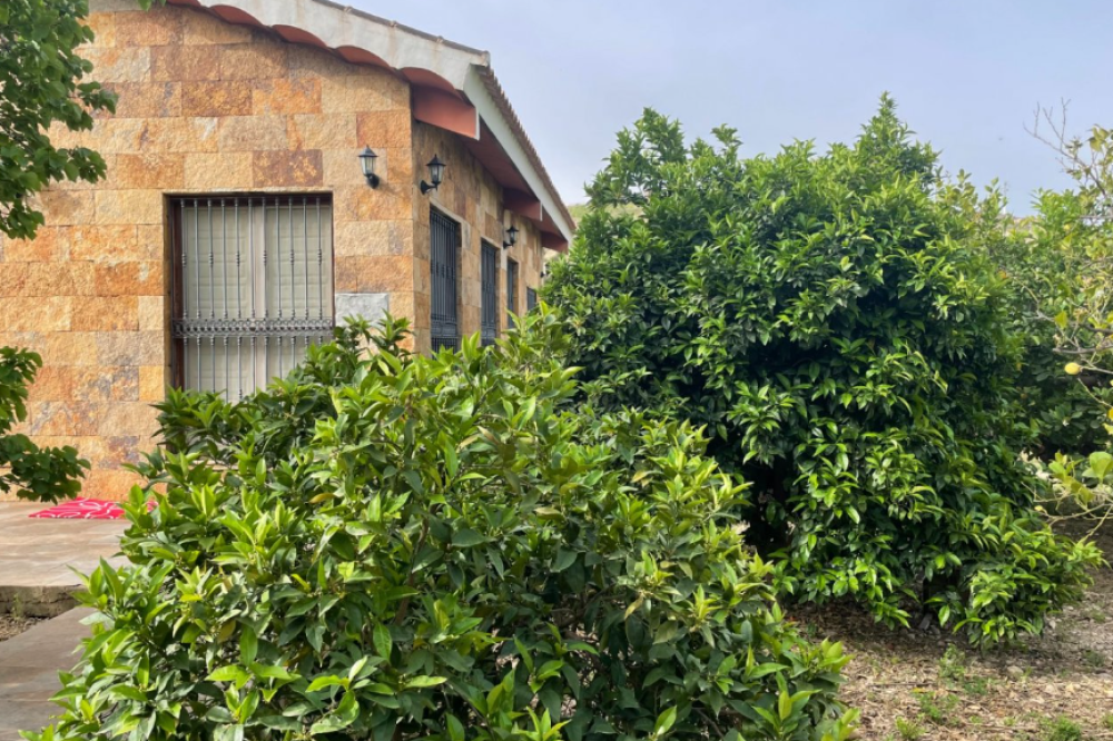  kaufen Landhaus Villanueva Del Río Segura Valle De Ricote 21
