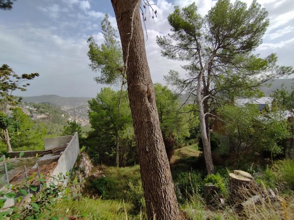  kaufen Grundstück Mas De Les Fonts Baix Llobregat 4