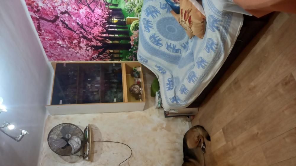  kaufen Wohnung Grau I Platja Safor 6