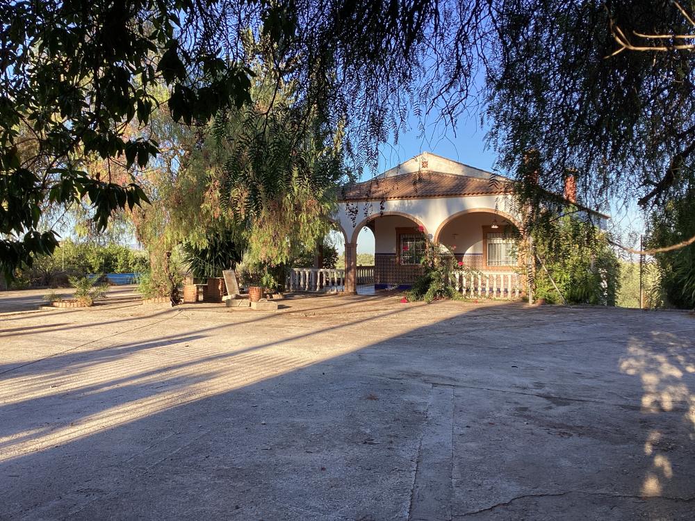  kaufen Villa Puente Genil Campiña Sur 40