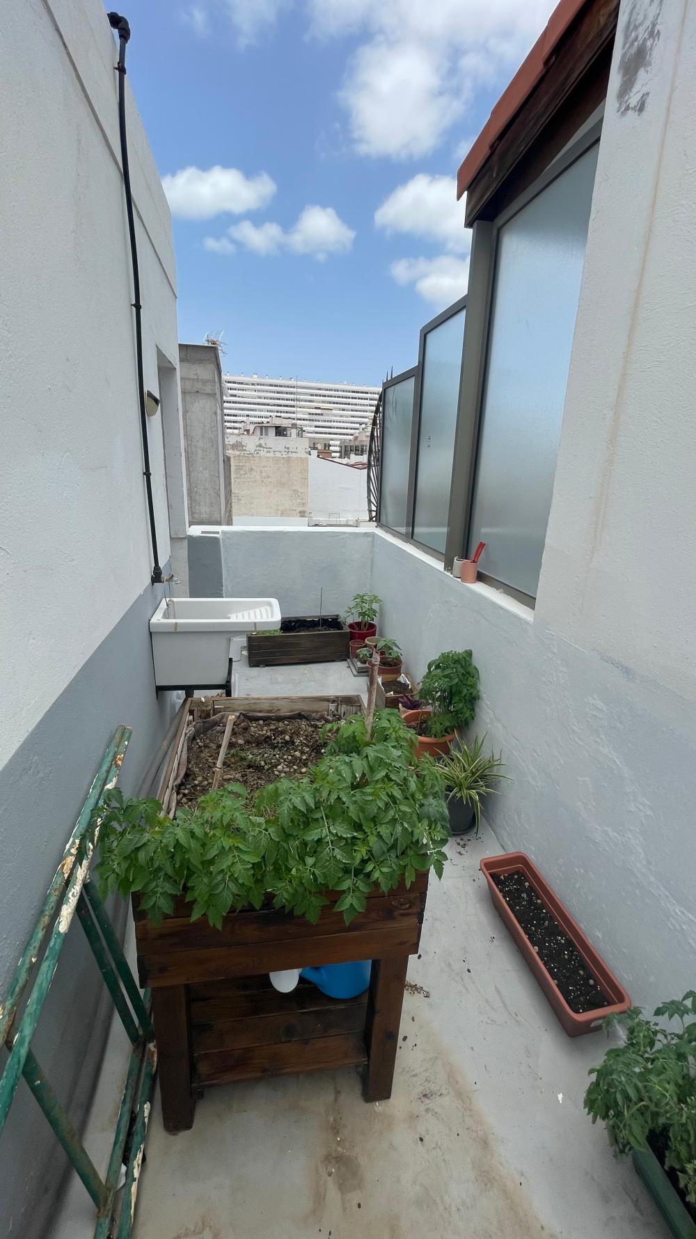  kaufen Wohnung Las Palmas Centro 35004 Palmas De Gran Canaria (Las) 18