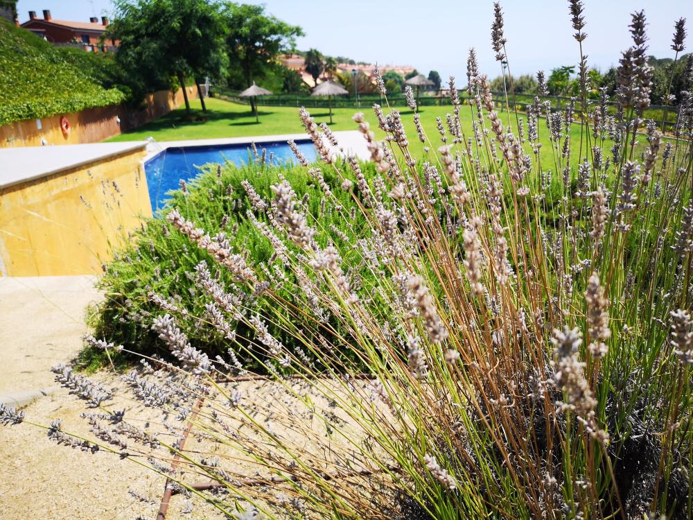  kaufen Haus Arenys De Mar Maresme 36