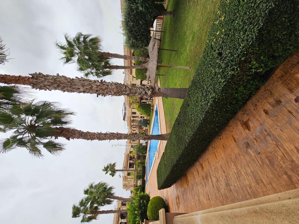  kaufen Doppelhaushälfte Playa De Los Locos-Aguas Nuevas-Torreblanca Baix Segura 12