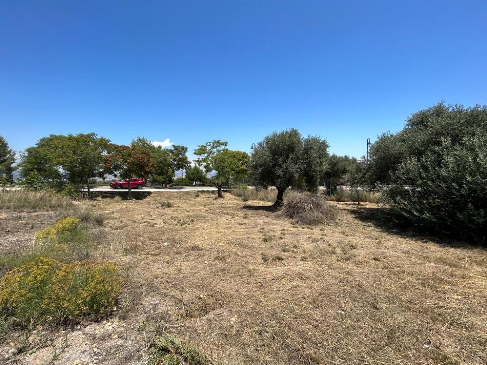  kaufen Grundstück Churriana Málaga-Costa Del Sol 3
