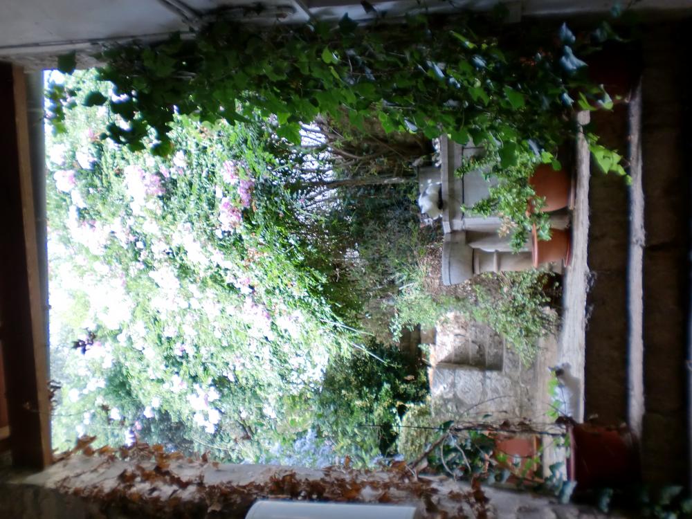  kaufen Haus Lloseta Raiguer 19