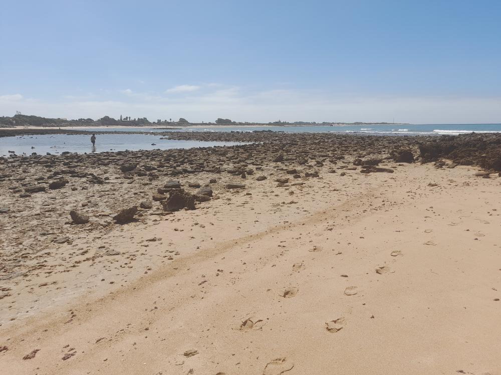  kaufen Maisonette Costa Ballena Costa Noroeste 29