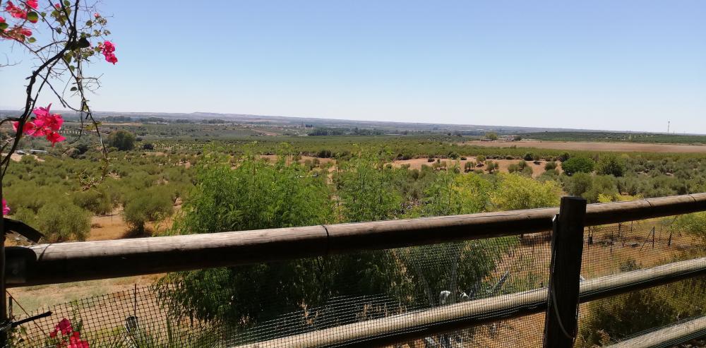  kaufen Landhaus Villanueva Del Río Y Minas Vega Del Guadalquivir 25