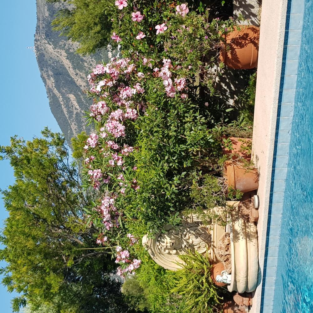  kaufen Villa Alfaz Del Pi Marina Baixa 18