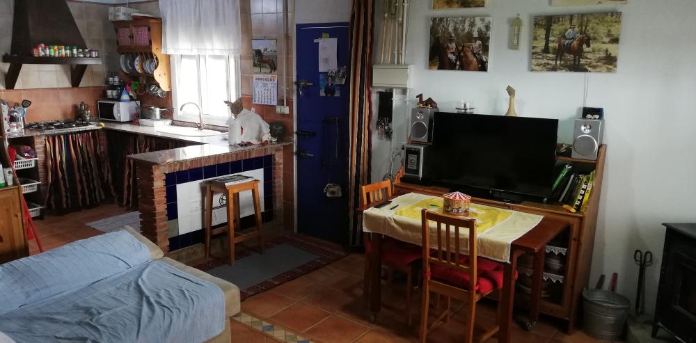  kaufen Landhaus Villanueva Del Río Y Minas Vega Del Guadalquivir 19