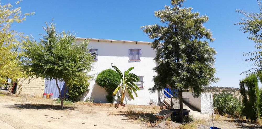  kaufen Landhaus Villanueva Del Río Y Minas Vega Del Guadalquivir 28