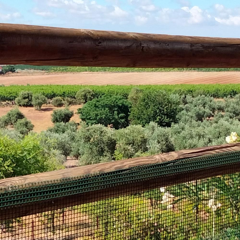  kaufen Landhaus Villanueva Del Río Y Minas Vega Del Guadalquivir 13