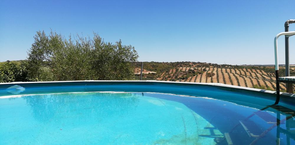 kaufen Landhaus Villanueva Del Río Y Minas Vega Del Guadalquivir 6