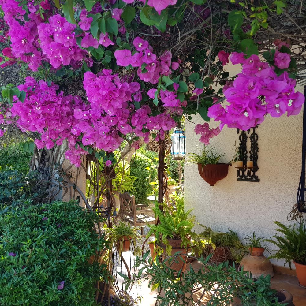  kaufen Villa Alfaz Del Pi Marina Baixa 24