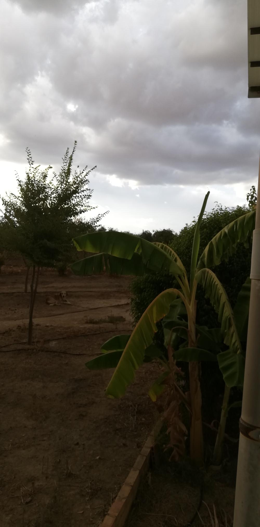  kaufen Landhaus Villanueva Del Río Y Minas Vega Del Guadalquivir 21