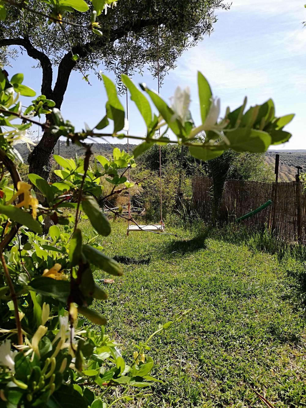  kaufen Landhaus Villanueva Del Río Y Minas Vega Del Guadalquivir 15