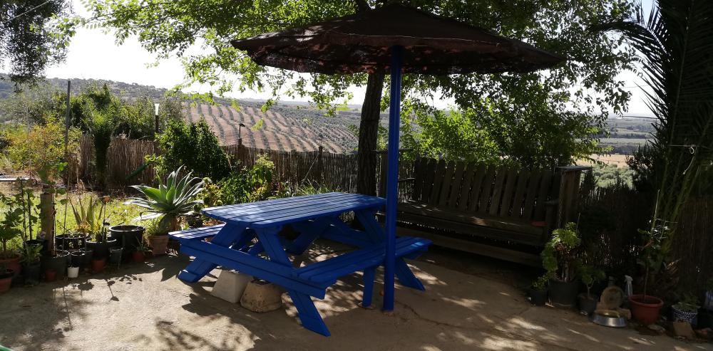  kaufen Landhaus Villanueva Del Río Y Minas Vega Del Guadalquivir 29