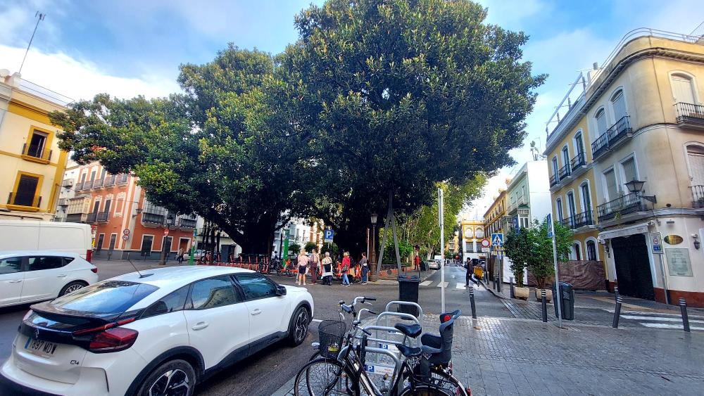  kaufen Wohnung Sevilla Casco Antiguo 41003 Metropolitana De Sevilla 41