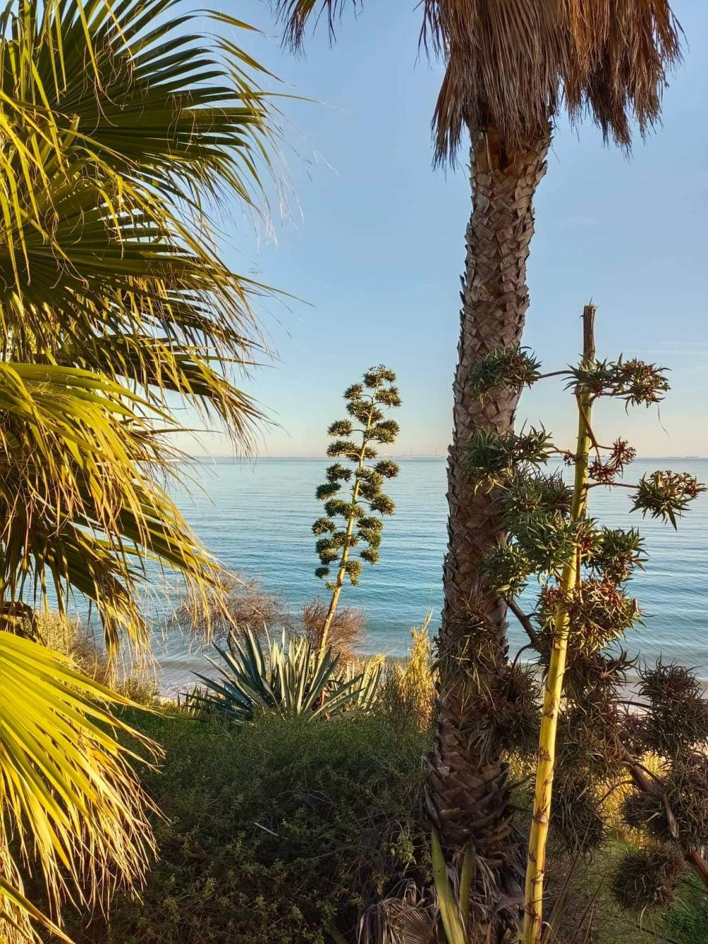  kaufen Wohnung Jardin De Almadrava Costa Noroeste 4