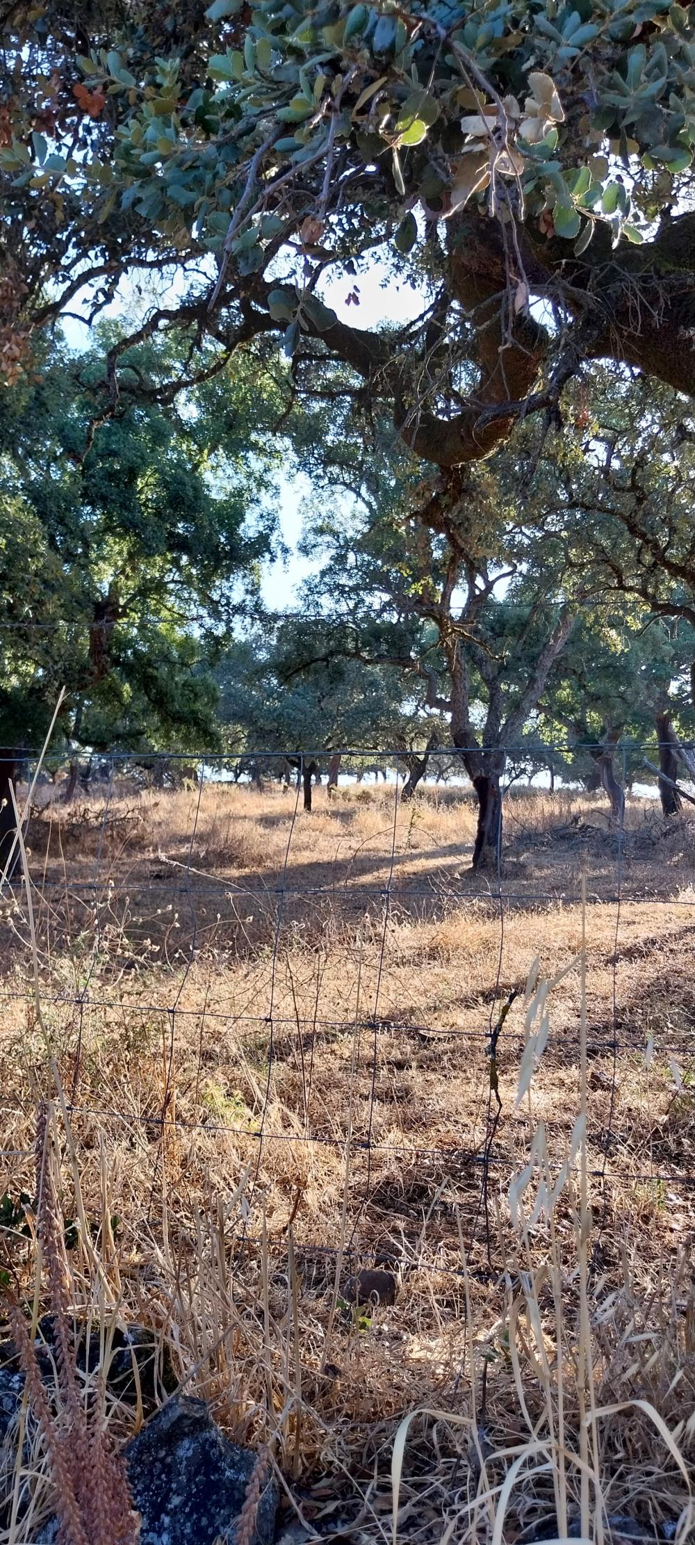  kaufen Landhaus Valdezufre Sierra De Huelva 2