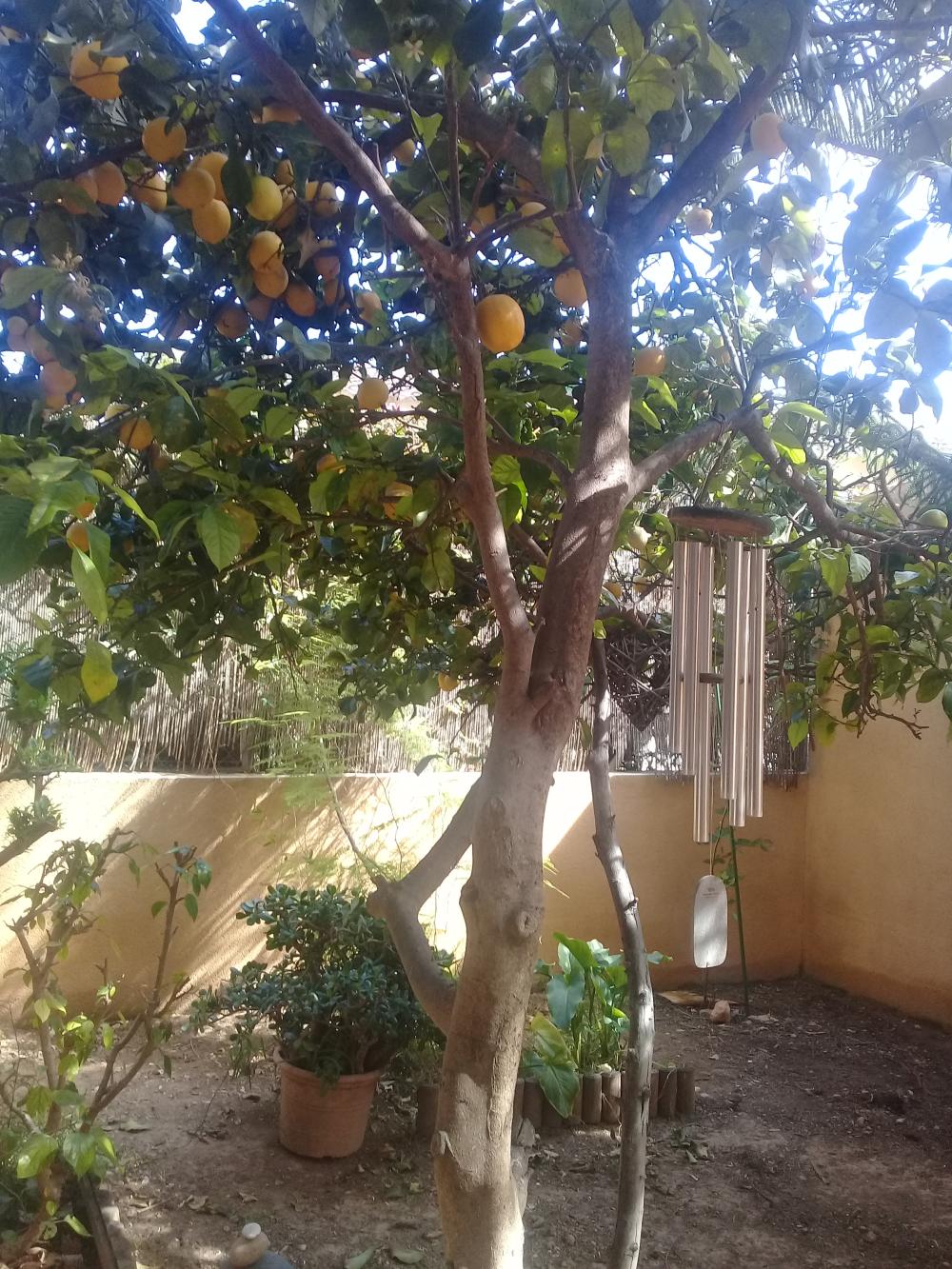  kaufen Villa Roda De Barà Tarragonès 16