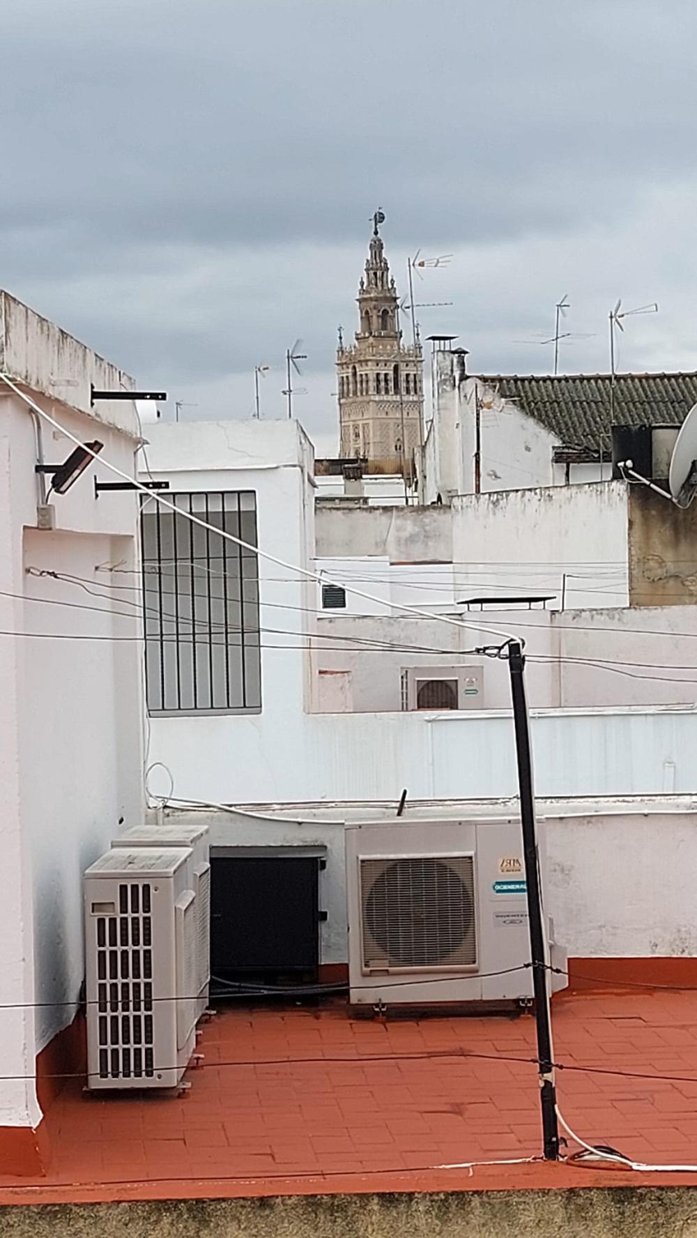  kaufen Wohnung Sevilla Casco Antiguo 41003 Metropolitana De Sevilla 8