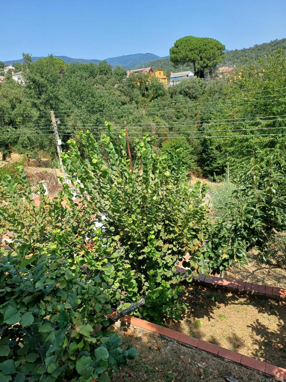  kaufen Haus Riells I Viabrea Selva 11