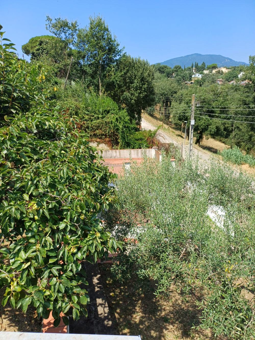  kaufen Haus Riells I Viabrea Selva 10