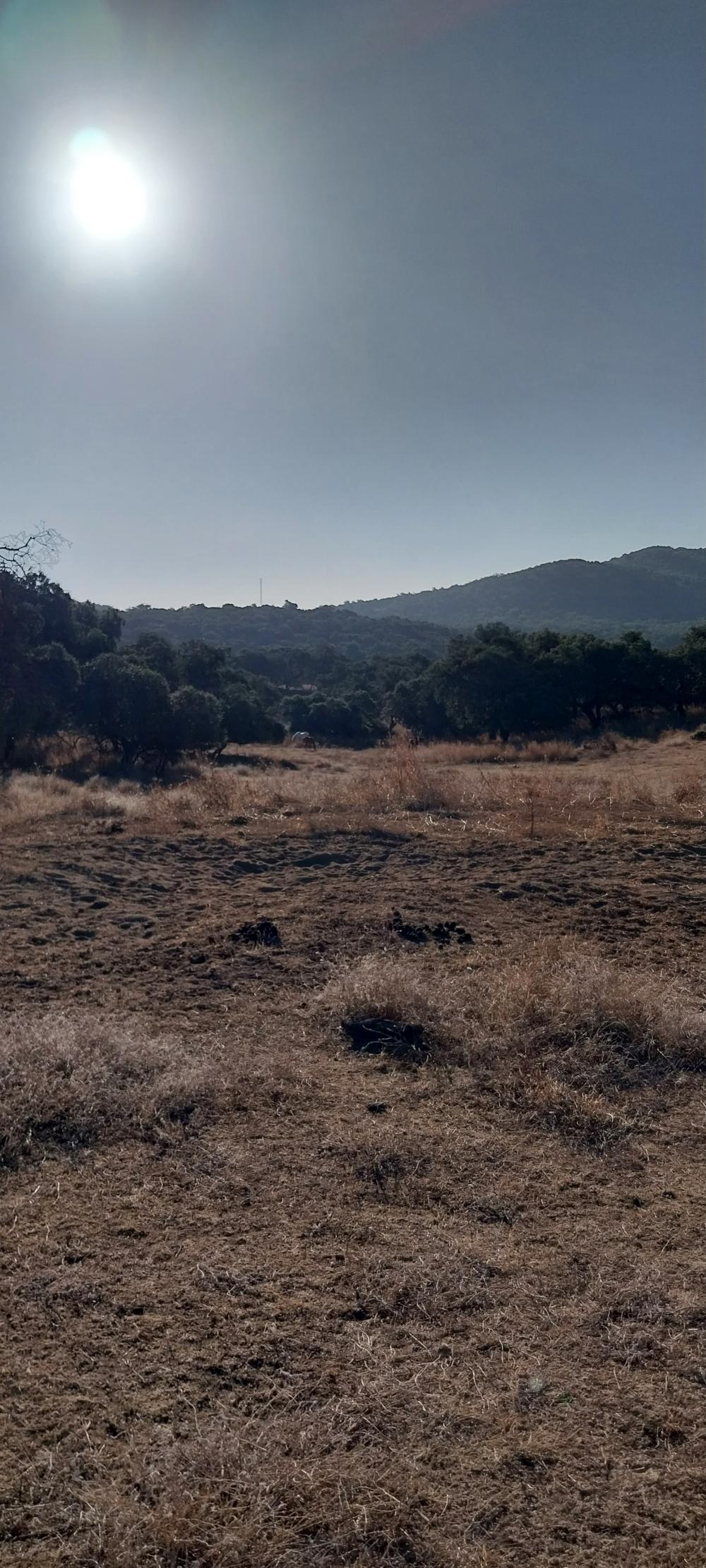  kaufen Landhaus Valdezufre Sierra De Huelva 4