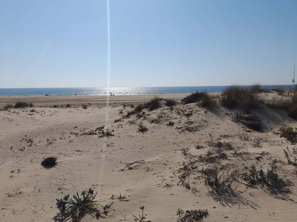  kaufen Maisonette Costa Ballena Costa Noroeste 24