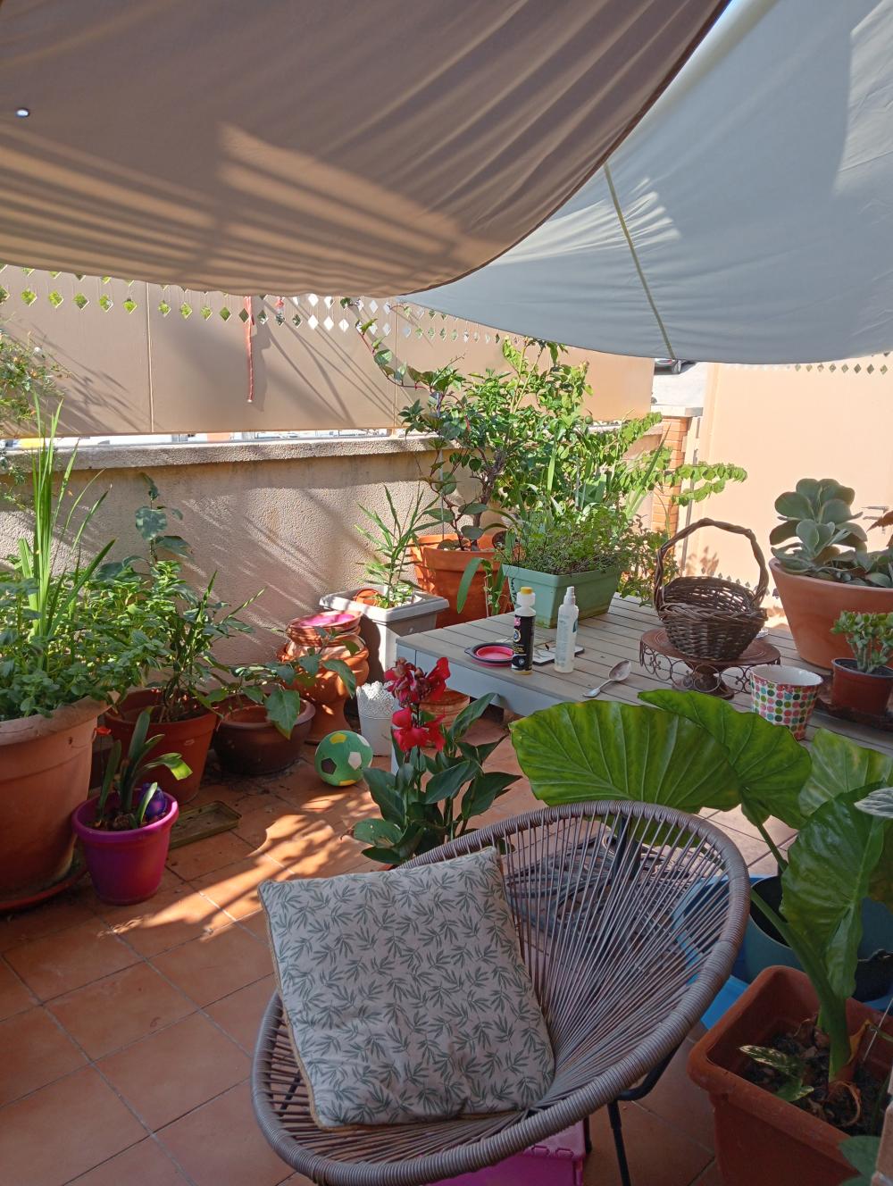  kaufen Villa Roda De Barà Tarragonès 5