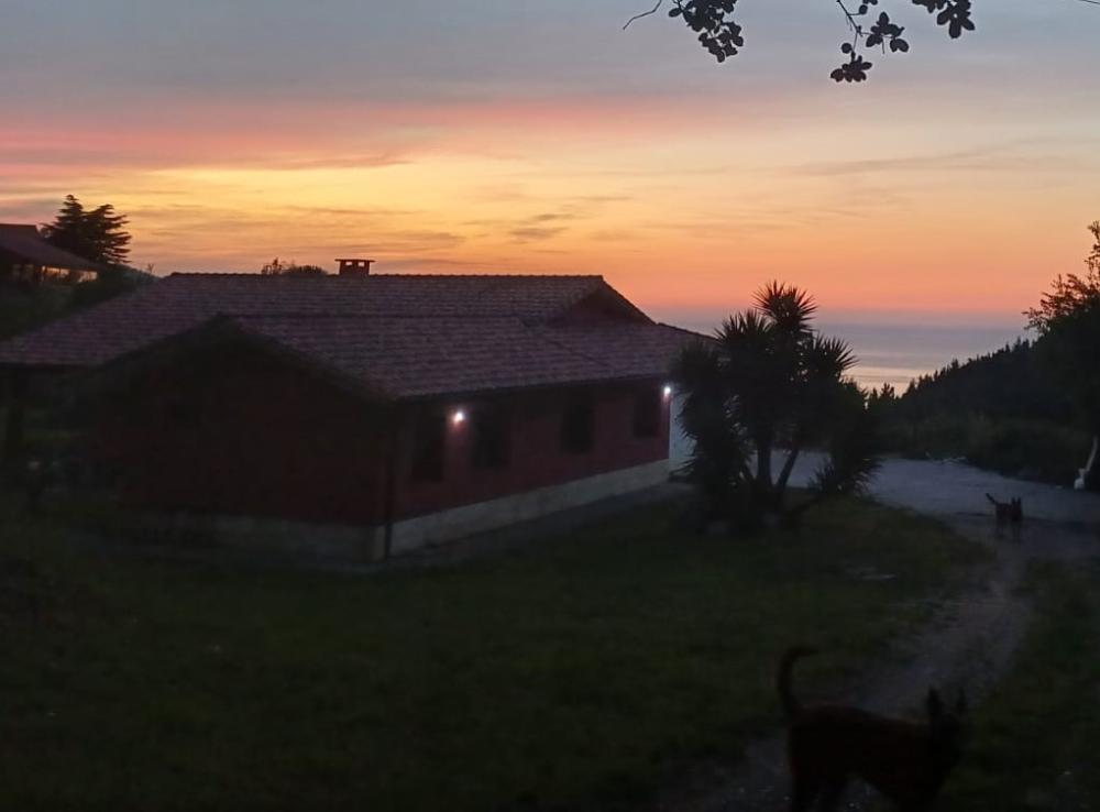  kaufen Villa Asterrika Lea-Artibai 5