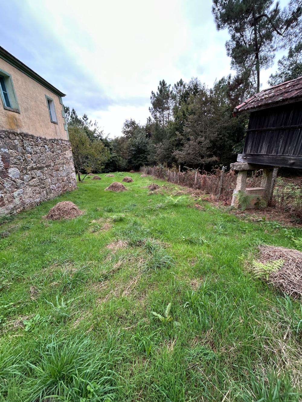  kaufen Haus A Teixeira Terra Da Celanova 9