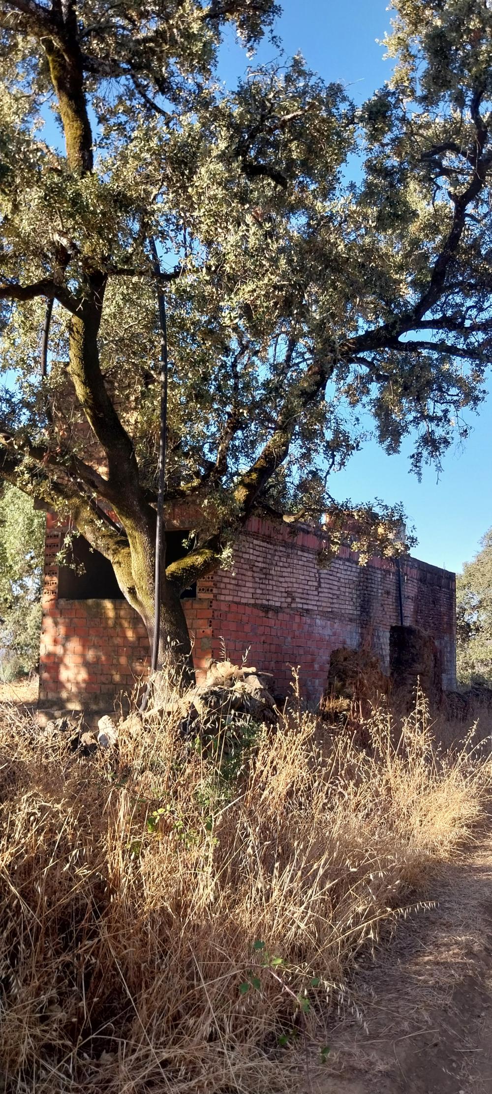  kaufen Landhaus Valdezufre Sierra De Huelva 6