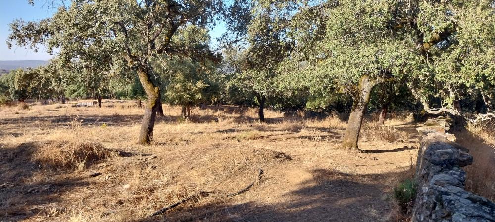  kaufen Landhaus Valdezufre Sierra De Huelva 7