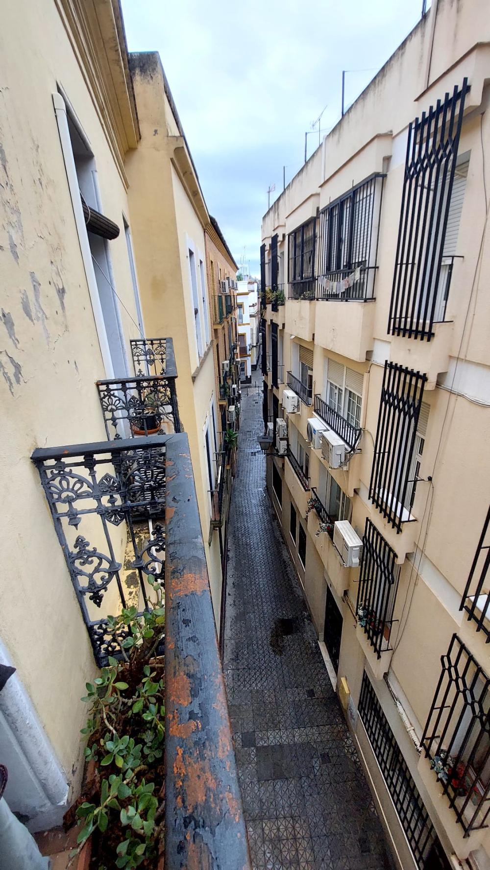  kaufen Wohnung Sevilla Casco Antiguo 41003 Metropolitana De Sevilla 19