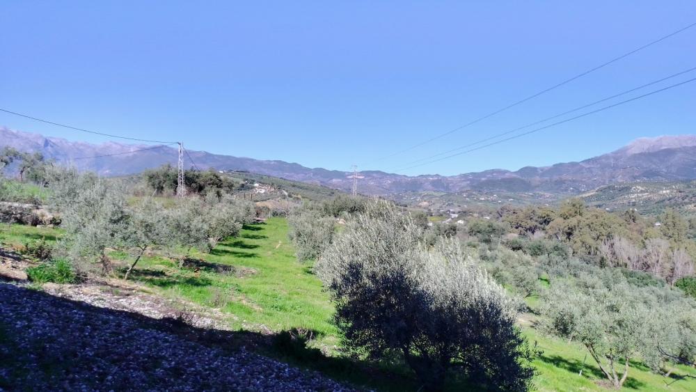  kaufen Landhaus Monda Sierra De Las Nieves 24