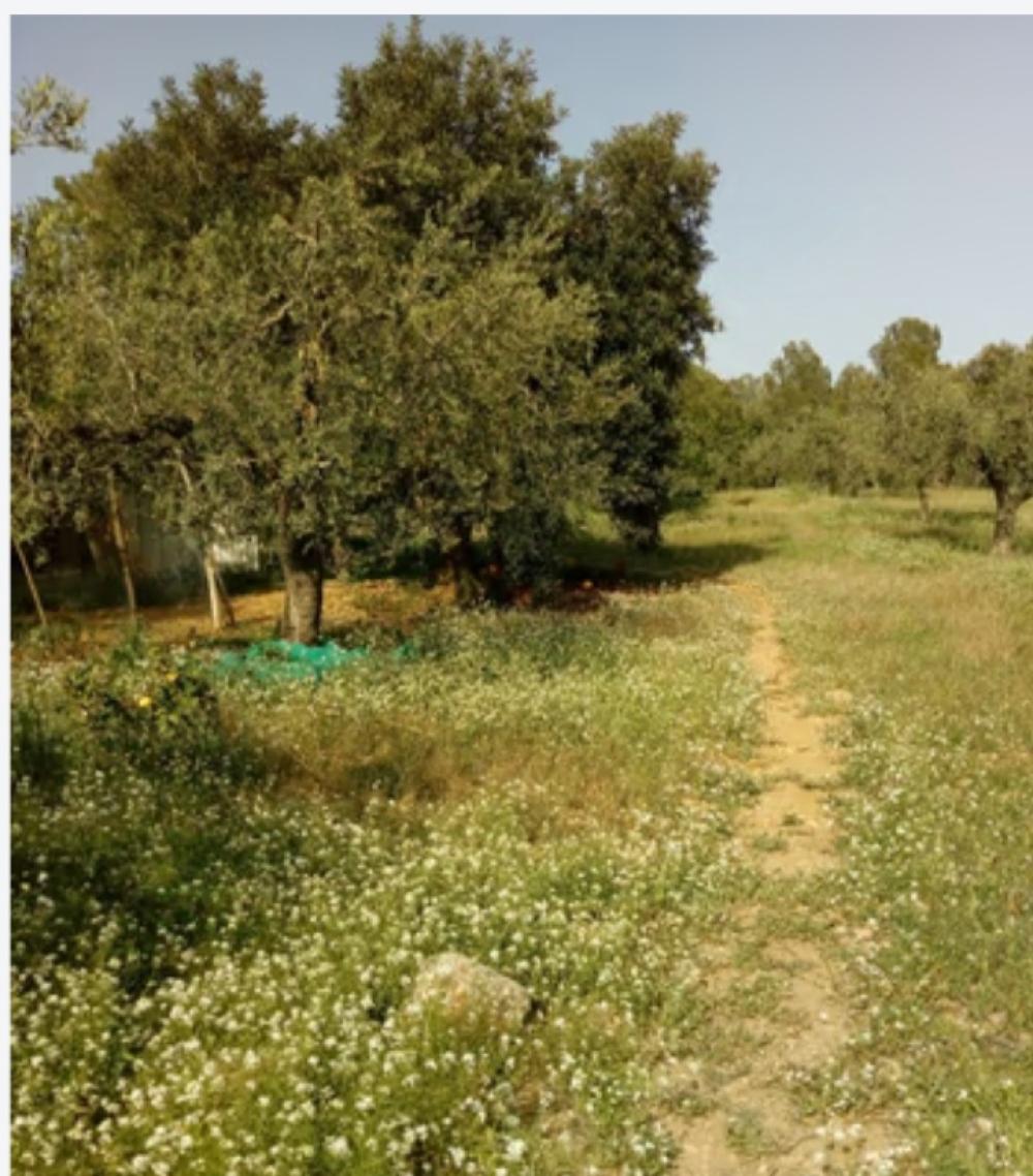  kaufen Landhaus Mont-Roig Del Camp Baix Camp 2