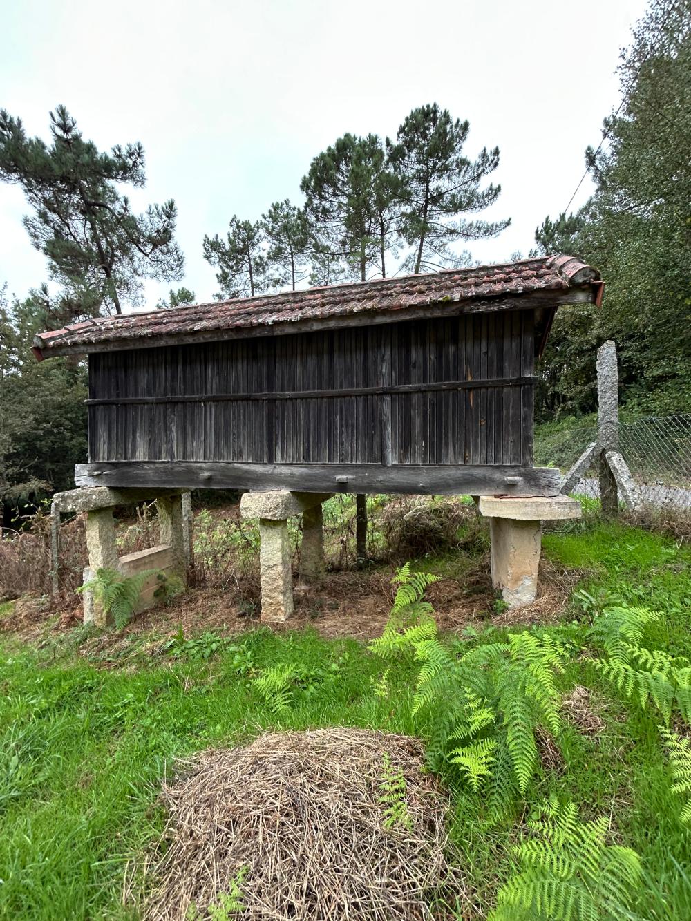  kaufen Haus A Teixeira Terra Da Celanova 8