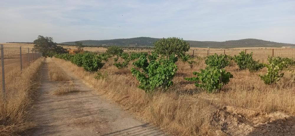  kaufen Landhaus Mirandilla Merida 18