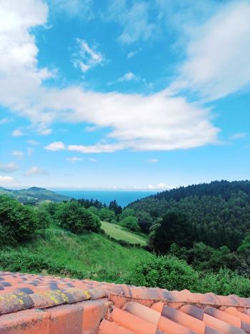 Asterrika Lea-Artibai Villa Bild 6048287