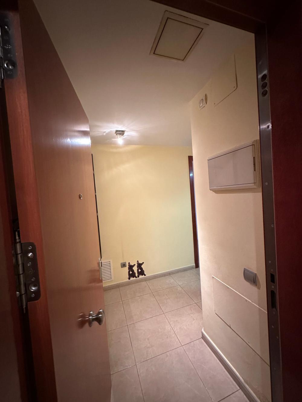  kaufen Wohnung Deltebre Baix Ebre 5