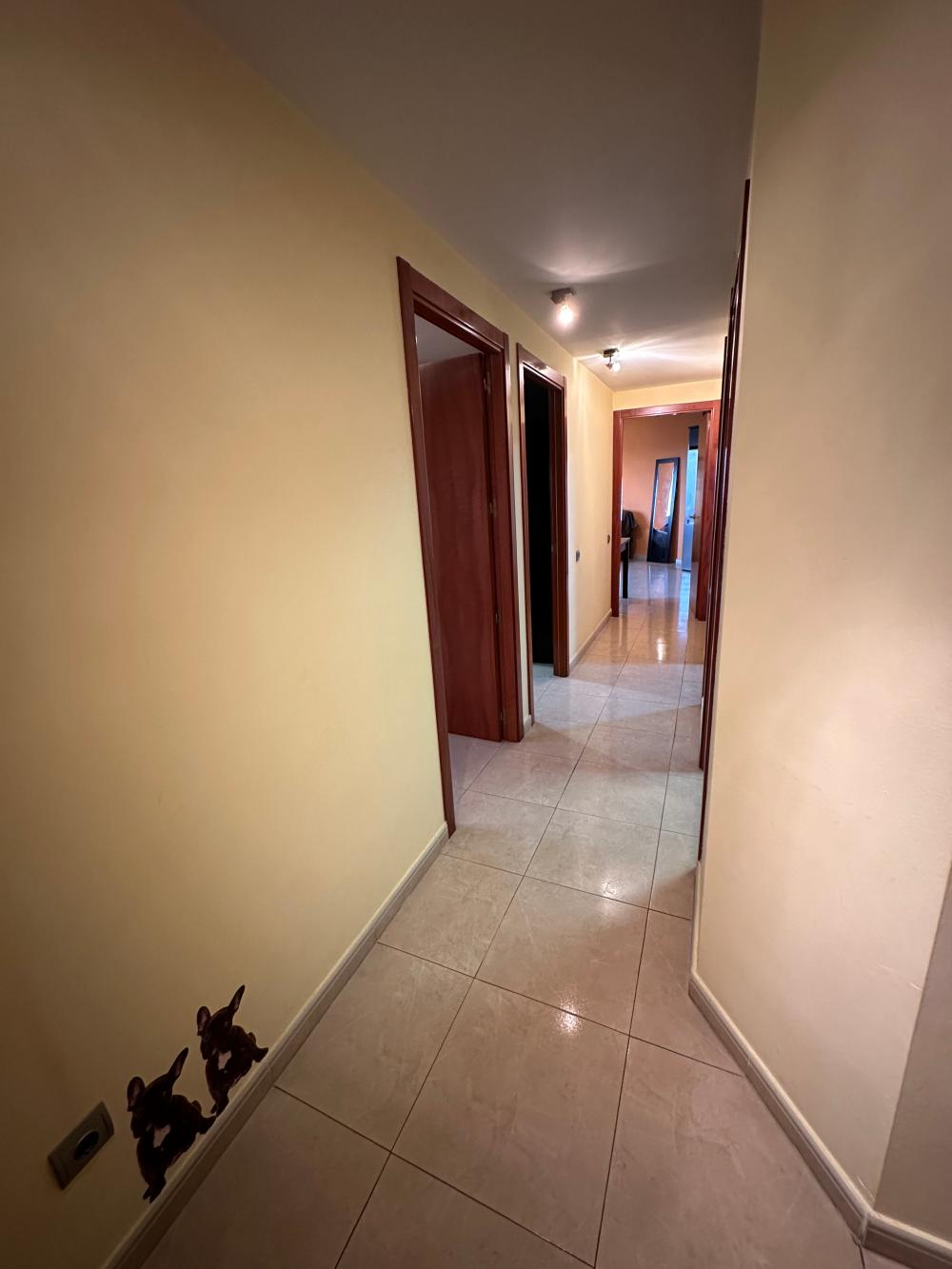  kaufen Wohnung Deltebre Baix Ebre 2