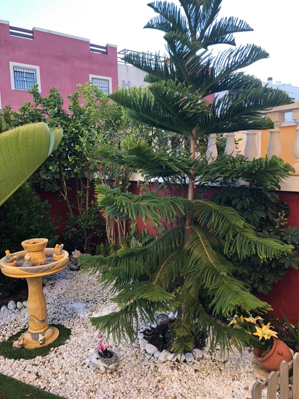  kaufen Erdgeschoss Orihuela Costa Baix Segura 10