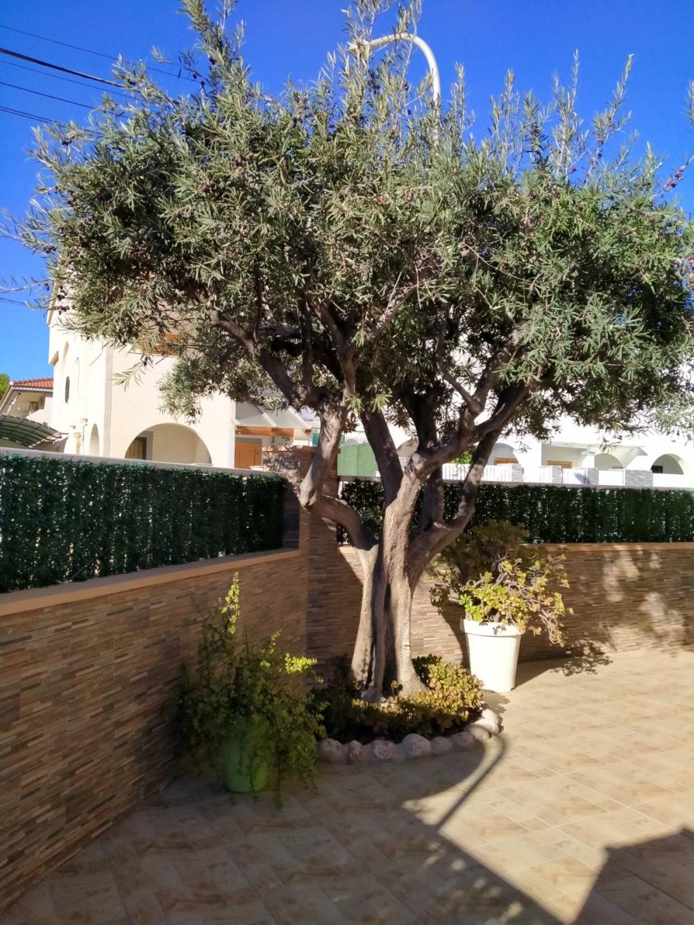  kaufen Reihenhaus Santiago De La Ribera Mar Menor 10