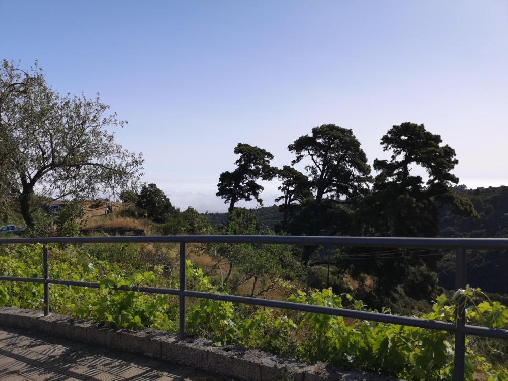  kaufen Haus Roque Del Faro Palma (La) 9