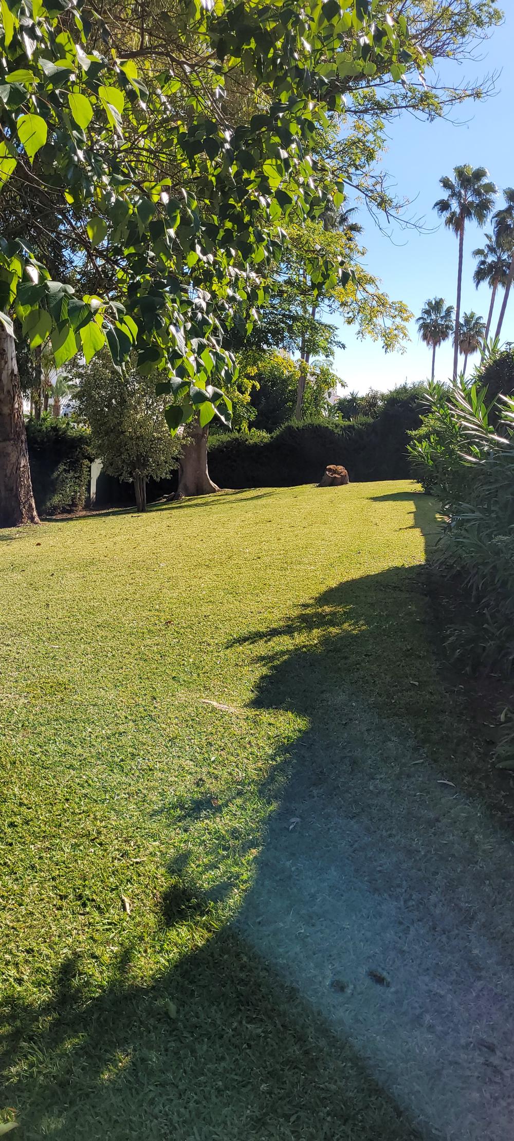  kaufen Reihenhaus Nueva Andalucía Costa Del Sol Occidental 28